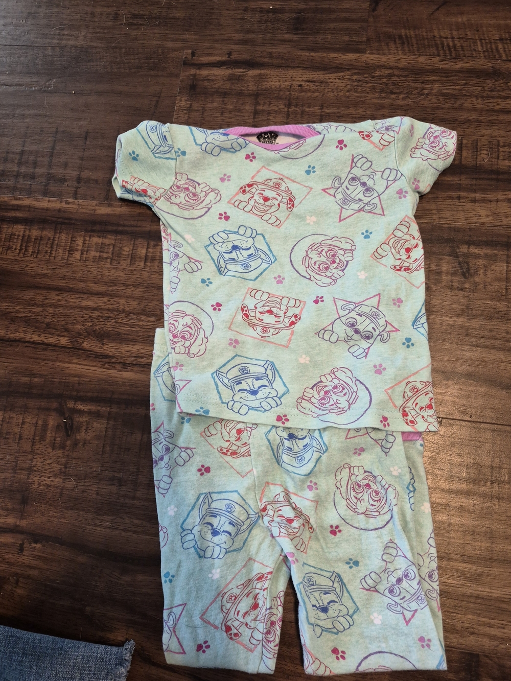 Kids Paw Patrol Short Sleeve Pajama Set - Mint Green